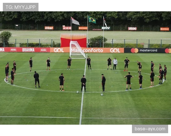 智利队进攻战术焕然一新,剑指国际赛场新突破 智利队进攻战术焕然一新,剑指国际赛场新突破