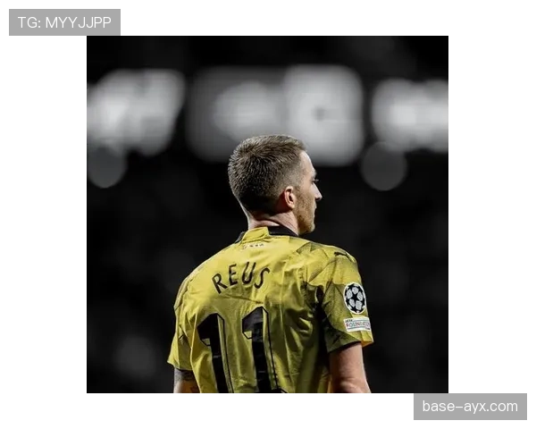 罗伊斯边路表现稳健，德甲赛季精彩瞬间不断涌现