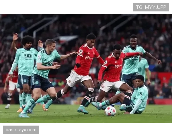 弗赖堡火力全开,稳健迎战德甲新赛季 弗赖堡火力全开,稳健迎战德甲新赛季